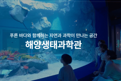 시흥 거북섬 해양생태과학관, 입장료·예약 꿀팁 체험학습 끝판왕!