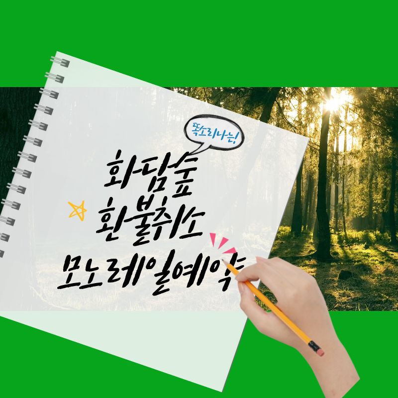 화담숲 환불